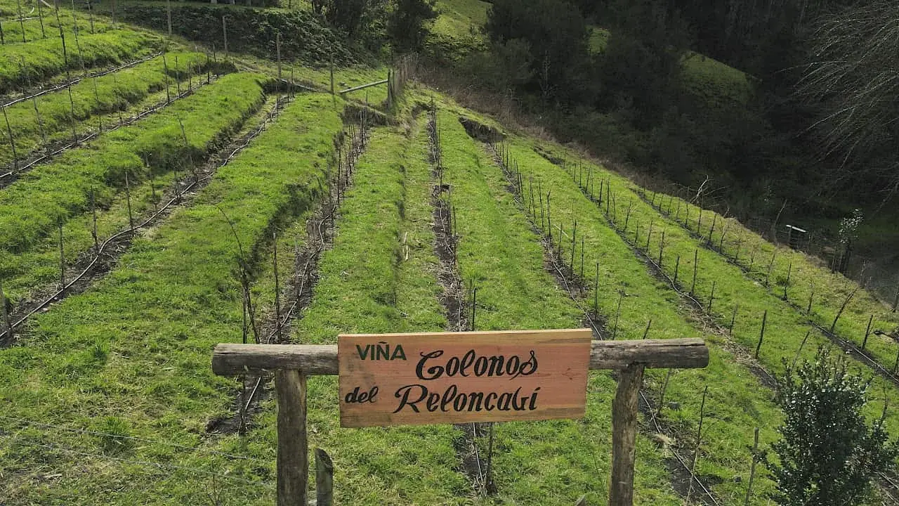 Cartel de madera de la viña, junto al lago