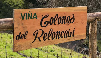 Letrero de madera de la Viña Glaciar del Reloncaví entre las vides