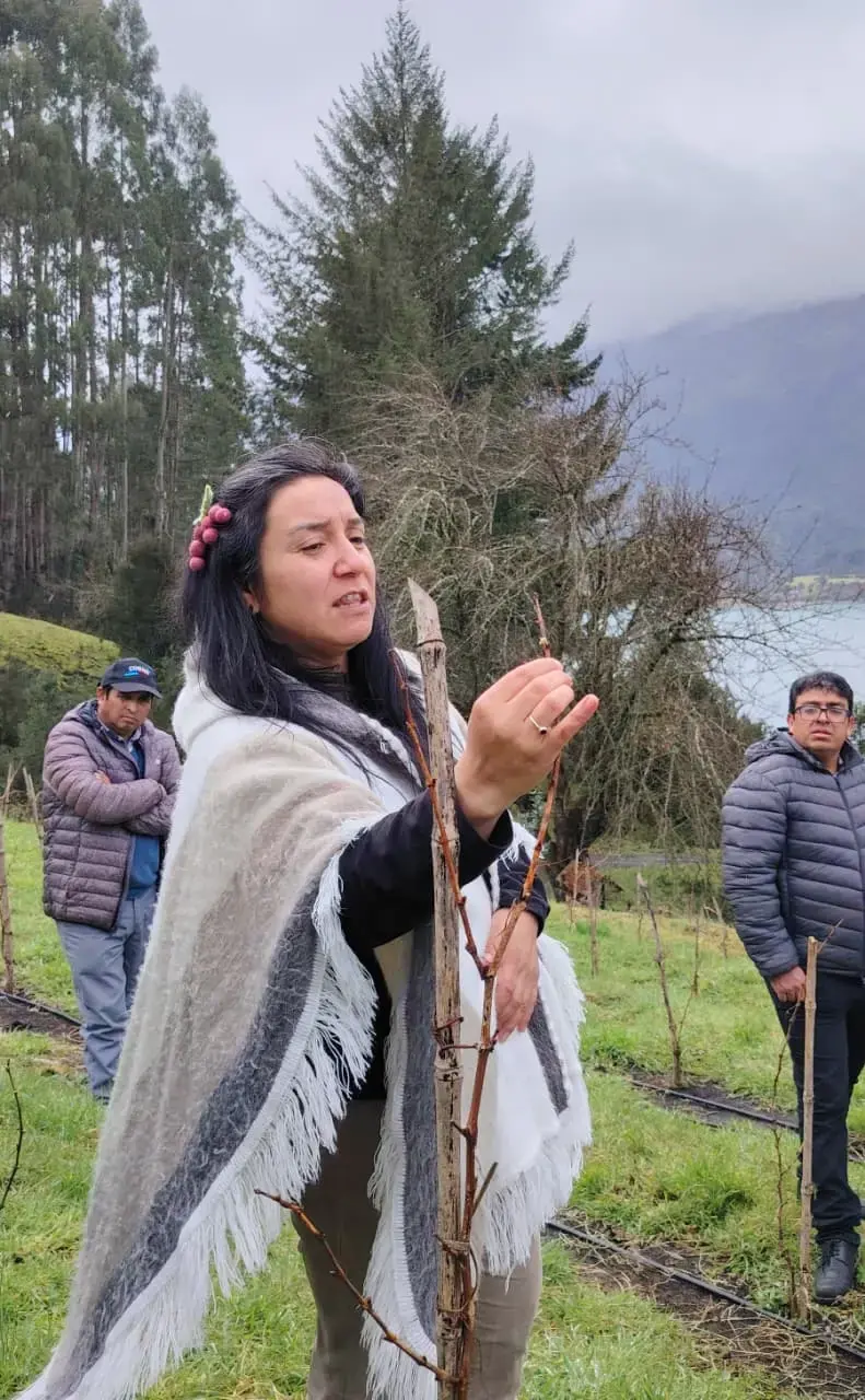 Propietaria mostrando racimos de uva a un grupo de visitantes