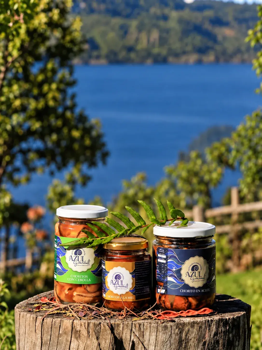 Conservas artesanales de Azul Gourmet junto al estuario