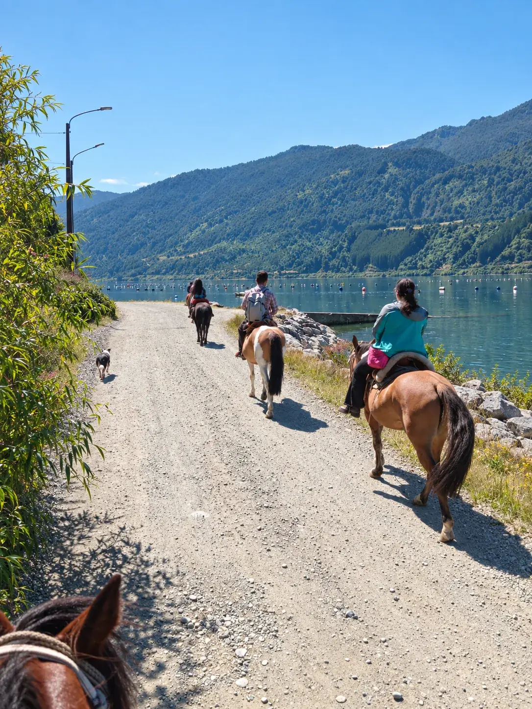 Jinetes recorren un camino junto al lago y las montañas de Rollizo.